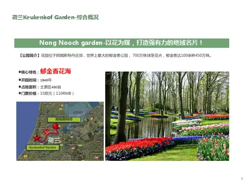 荷兰库肯霍夫花园(欧洲花园)案例