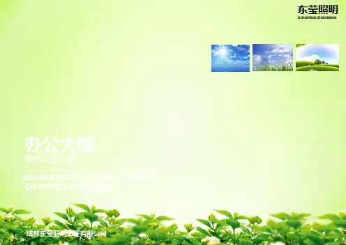 办公大楼照明节能改造方案