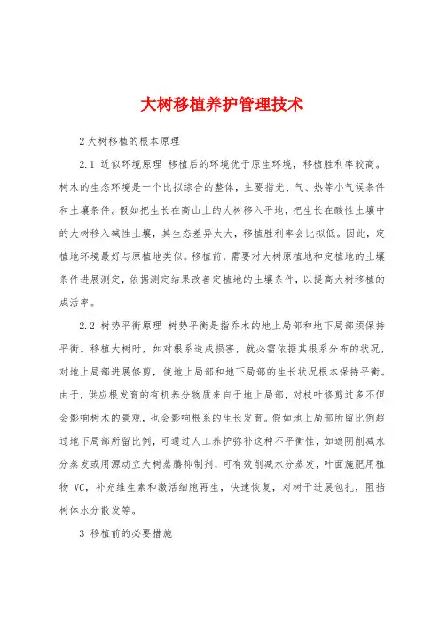 大树移植养护管理技术