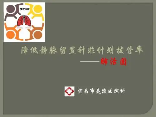 降低静脉留置针非计划拔管率ppt课件
