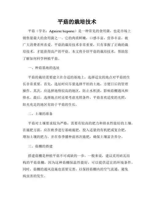 平菇的栽培技术