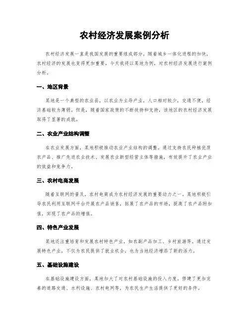 农村经济发展案例分析