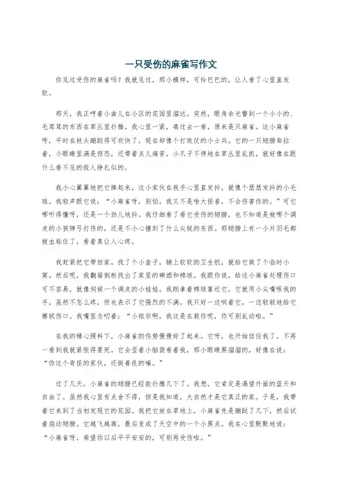 一只受伤的麻雀写作文