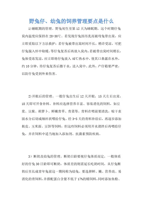 野兔仔、幼兔的饲养管理要点是什么