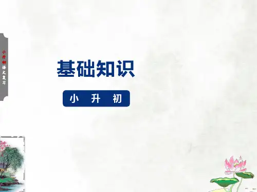 小升初专项训练形近字辨析课件(共29张PPT)