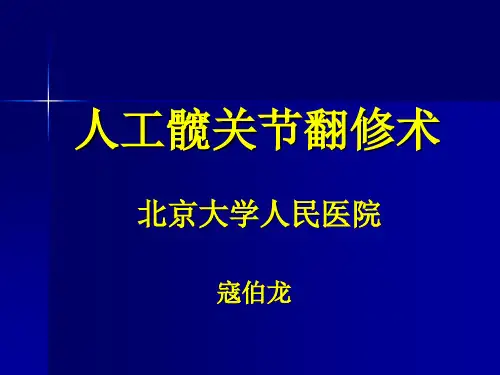人工髋关节翻修术