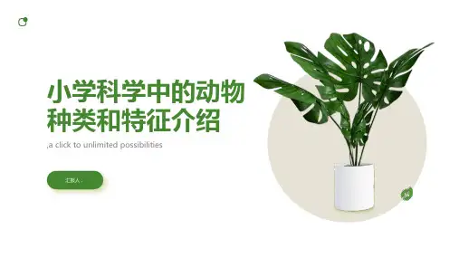 小学科学中的动物种类和特征介绍