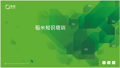 大米培训资料(1)