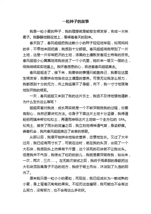 一粒种子的故事