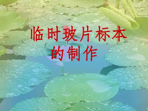 临时玻片标本的制作