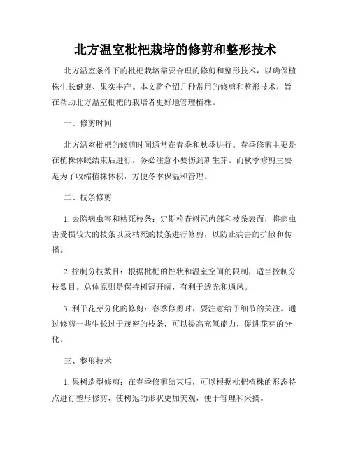 北方温室枇杷栽培的修剪和整形技术