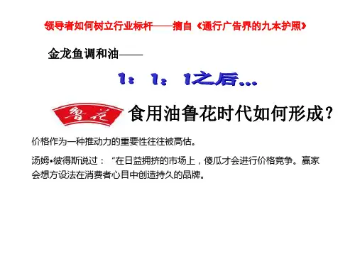 XX品牌传播方案(ppt38)(1)
