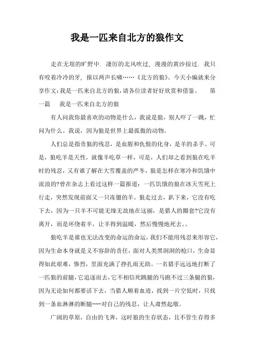 我是一匹来自北方的狼作文