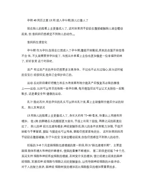 孕程40周历之各月注意事项.