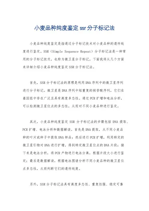 小麦品种纯度鉴定ssr分子标记法