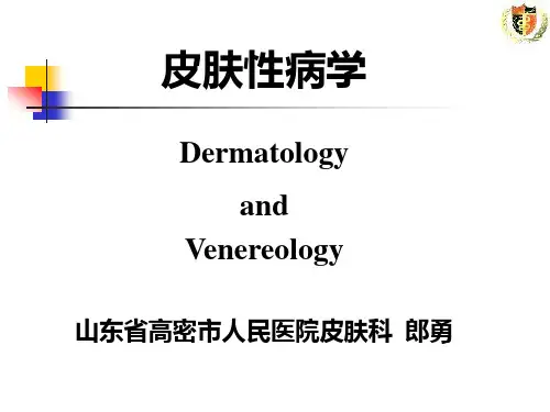 第二节课 皮肤性病的临床表现及诊断