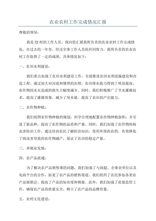 农业农村工作完成情况汇报