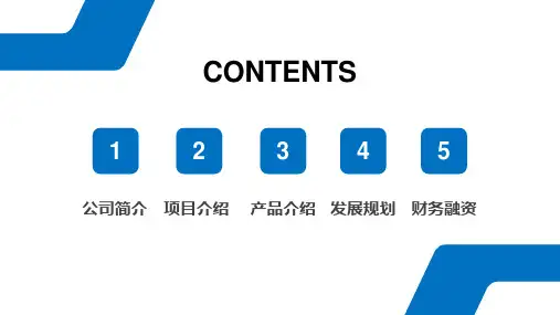 家庭理疗商业计划书课件