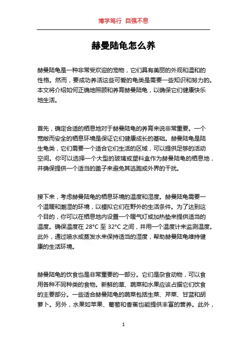 赫曼陆龟怎么养