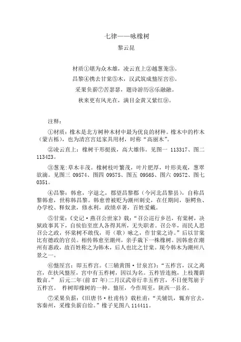 七律——咏橡树