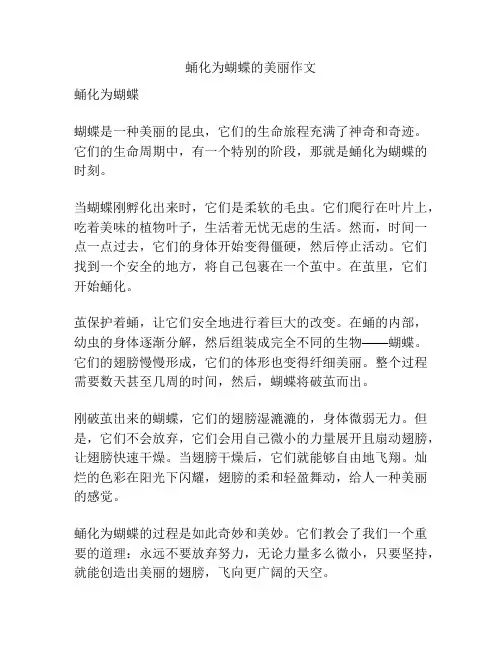 蛹化为蝴蝶的美丽作文
