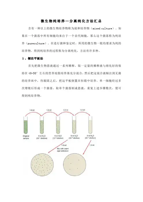 微生物纯培养—分离纯化方法汇总