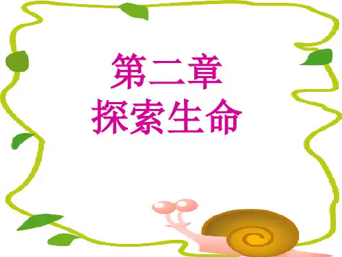 探索生命的器具PPT课件2 苏教版优秀课件