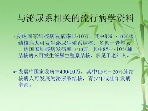 泌尿生殖系系感染与结核(共43张PPT)