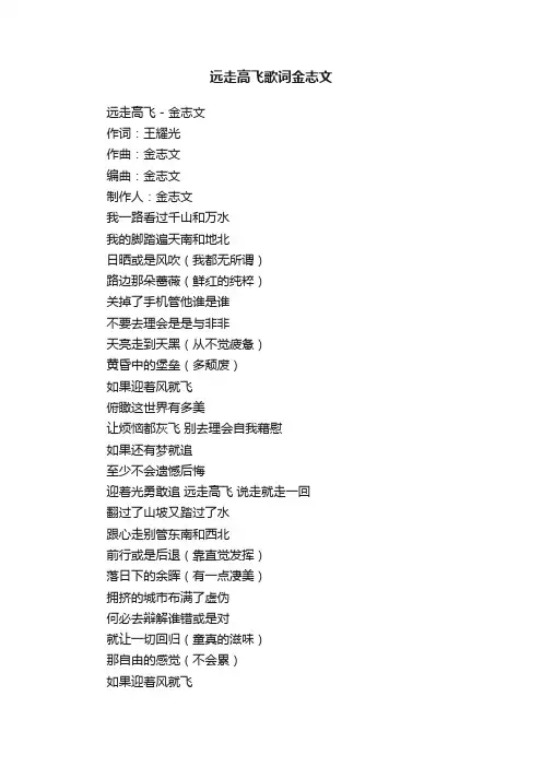 远走高飞歌词金志文
