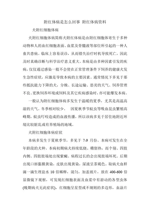 附红体病是怎么回事 附红体病资料