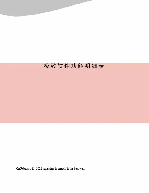 极致软件功能明细表