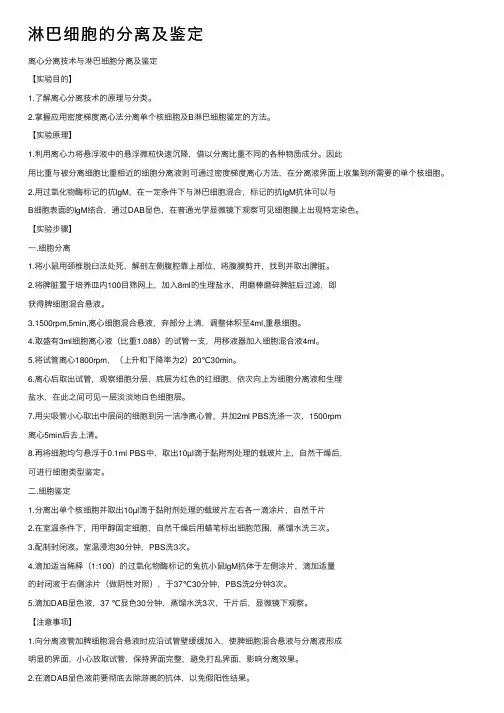 淋巴细胞的分离及鉴定