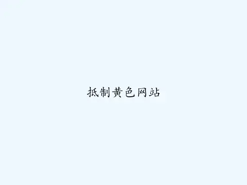 抵制黄色网站 PPT