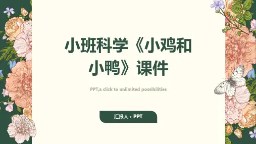 小班科学《小鸡和小鸭》课件