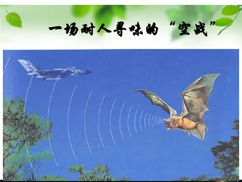 场耐人寻味的空战