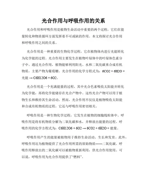 光合作用与呼吸作用的关系