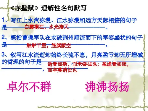 《赤壁赋》理解性名句默写