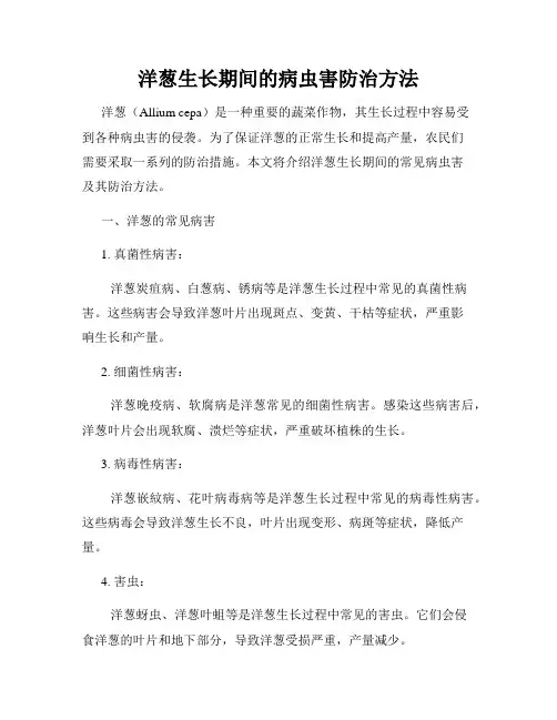 洋葱生长期间的病虫害防治方法
