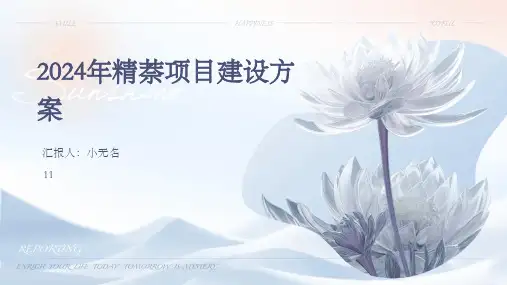 2024年精萘项目建设方案