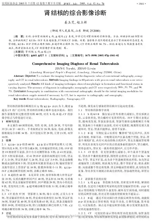 肾结核的综合影像诊断