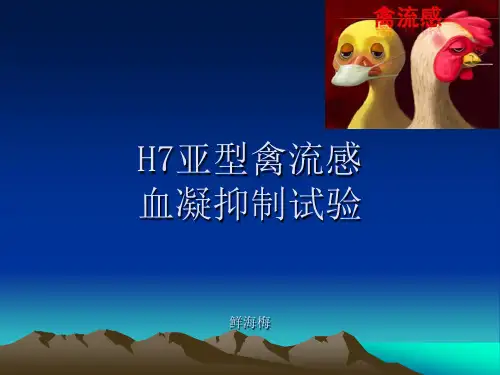 1---血凝和血凝抑制实验