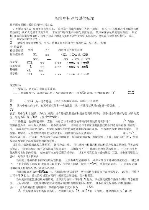 梁集中标注与原位标注