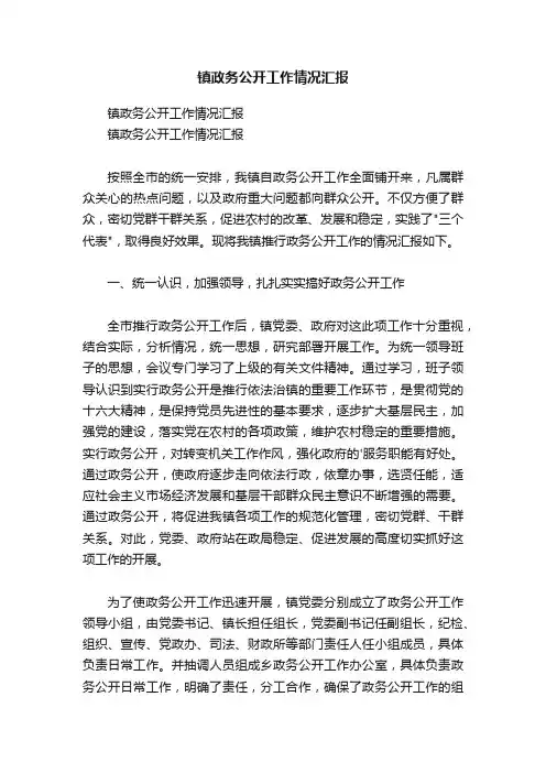 镇政务公开工作情况汇报