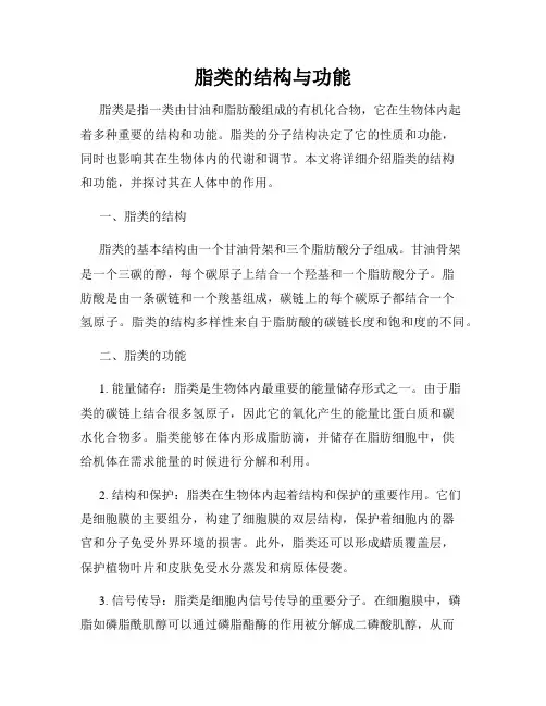 脂类的结构与功能