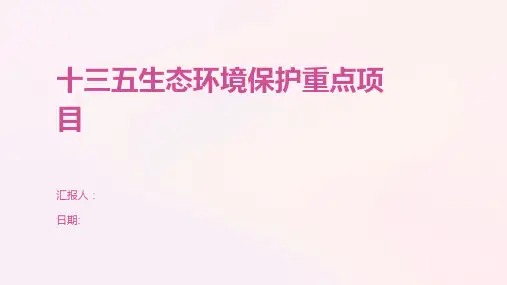 十三五生态环境保护重点项目