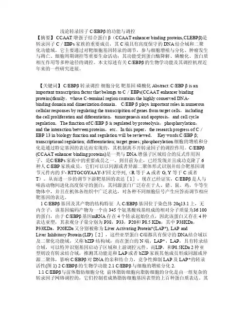 浅论转录因子C-EBPβ的功能与调控