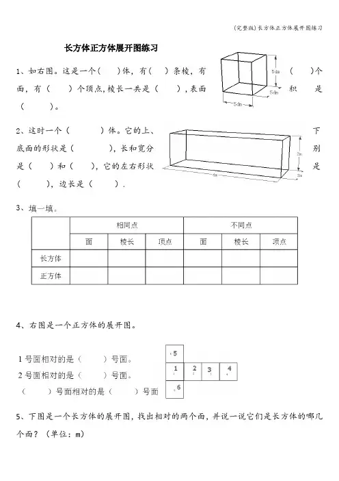 (完整版)长方体正方体展开图练习