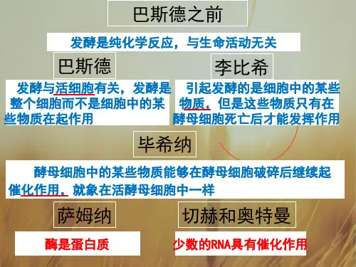 最新-湖南师范大学附属中学高一生物必修一教学课件 5.1酶的特性 共30张 精品