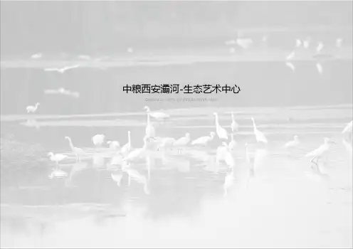 中粮西安灞河-生态艺术中心方案文本