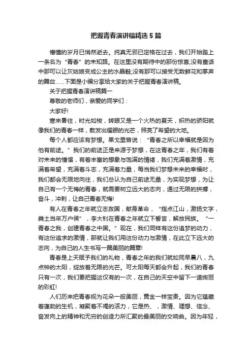 把握青春演讲稿精选5篇